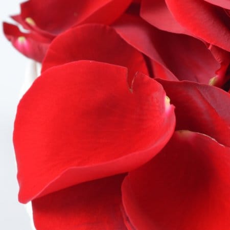 Пелюстки Троянд – доставка квітів у Київ