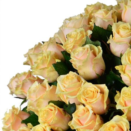 Шикарний букет роз 101 кремова троянда – доставка квітів у Київ